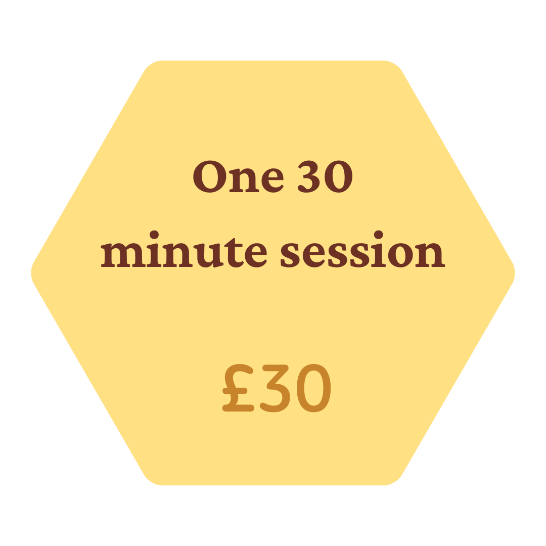 30 minute session price 30 minute session price