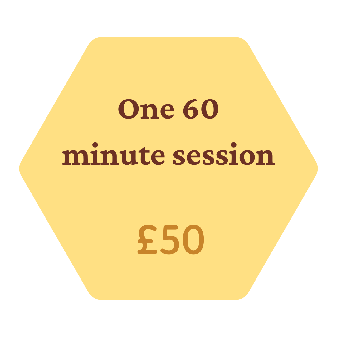 60 minute session price 60 minute session price